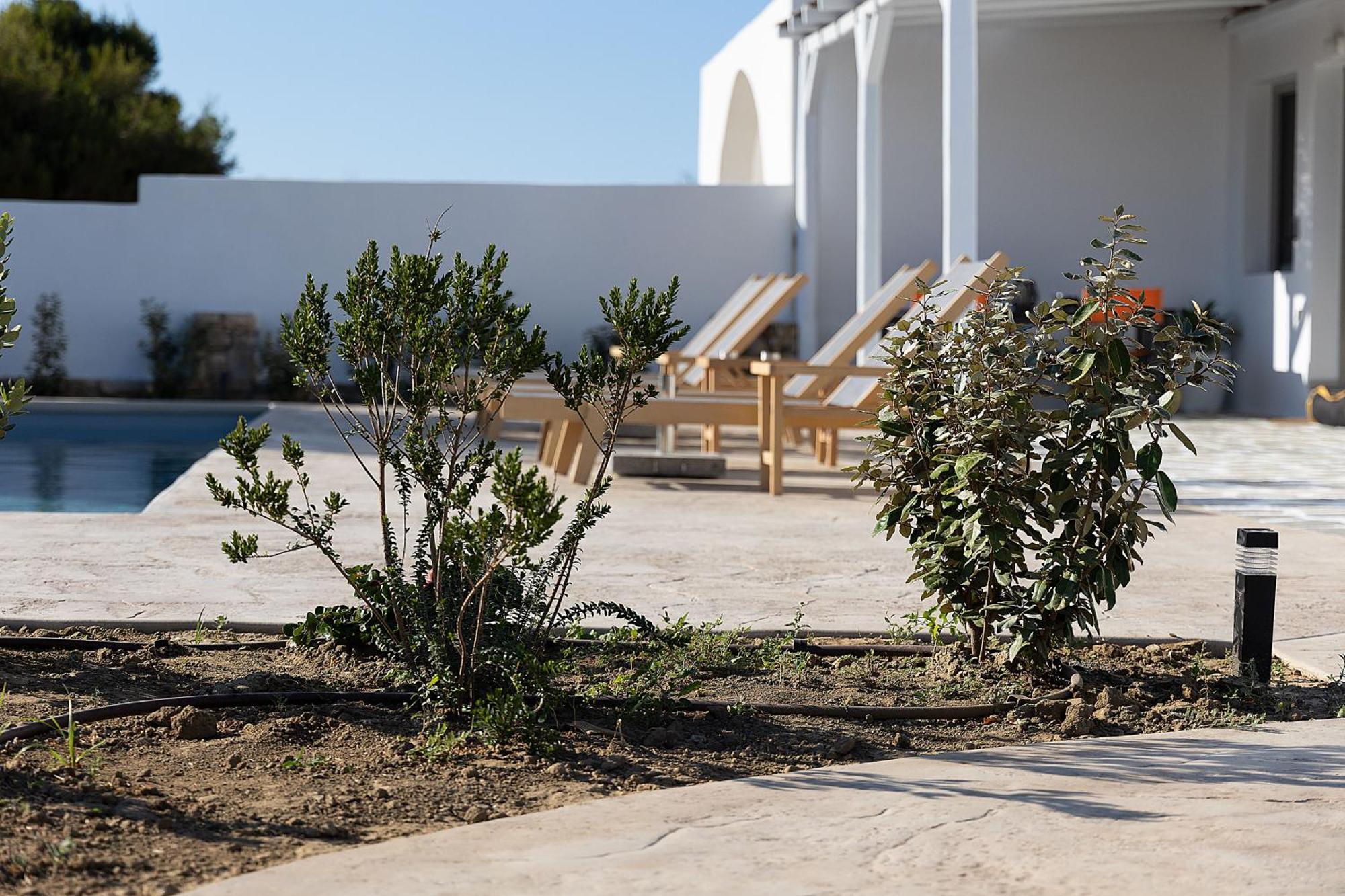 White Pearl Villa Naxos With Private Swimming Pool Naxos City Экстерьер фото