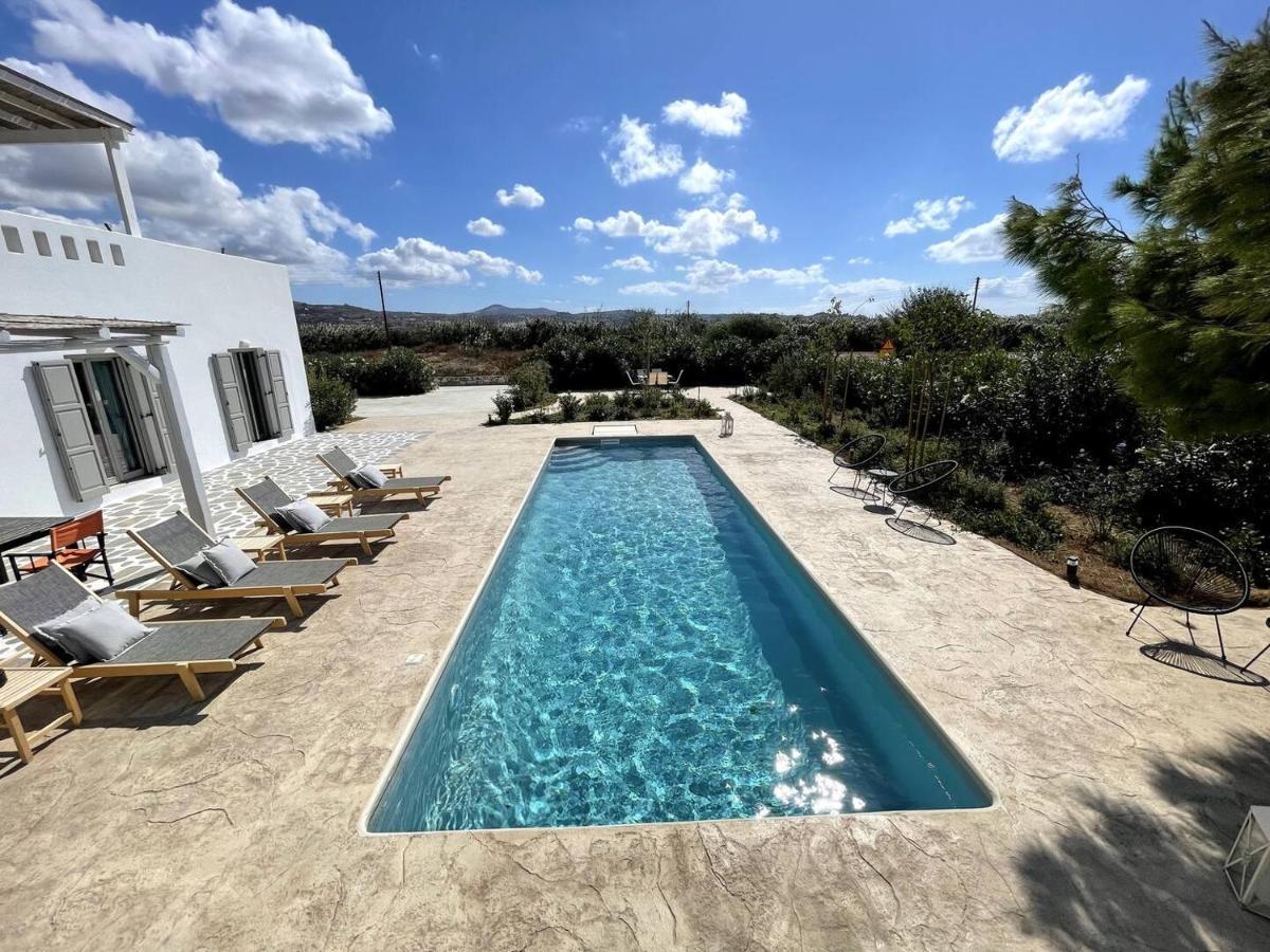 White Pearl Villa Naxos With Private Swimming Pool Naxos City Экстерьер фото